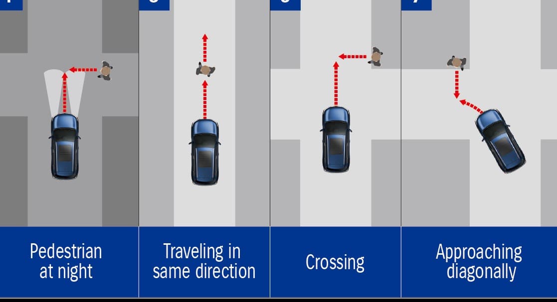 Suzuki_SENZORI_1760440176997