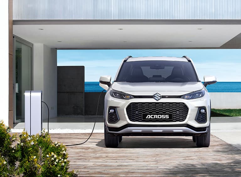 Suzuki_across_plug_768x564_1696591905539